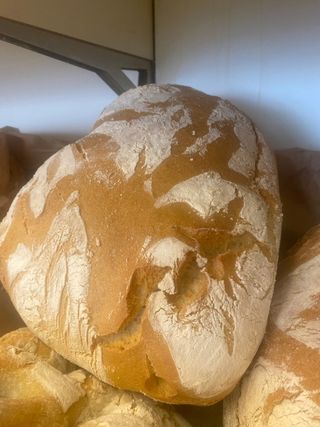 Metà pane sciocco 430 g  