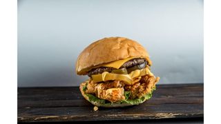 Микс бургер (380г)