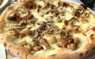 Misto bosco