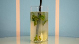 Mojito Fresh