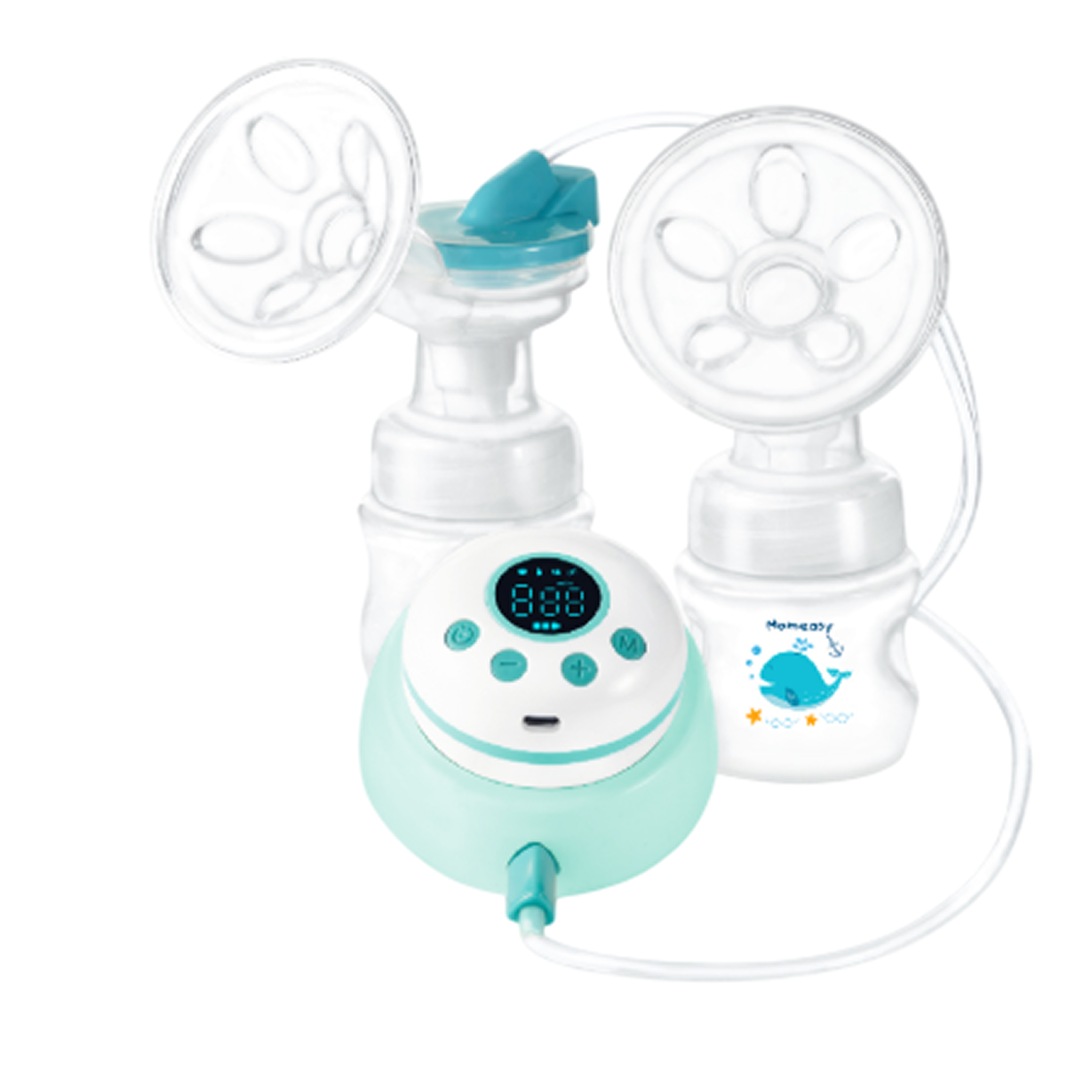 Maternity & Breastfeeding