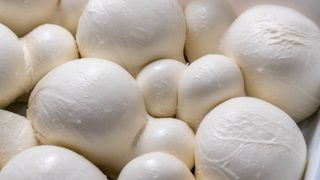 Mozzarella fiordilatte di Agerola 120 g
