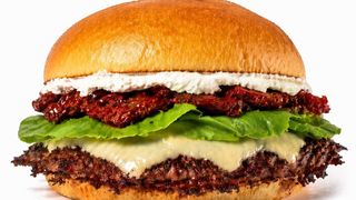 Mr Sardinia panino double