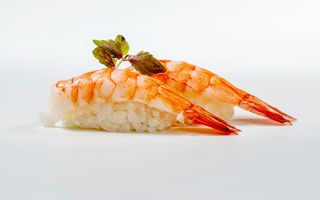 N04. Nigiri ebi