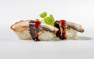 N08. Nigiri anguilla