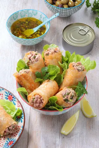 Nems Poisson