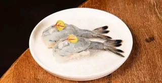 Nigiri gambero blu