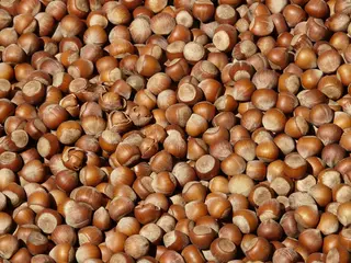 Nocciole - 100g