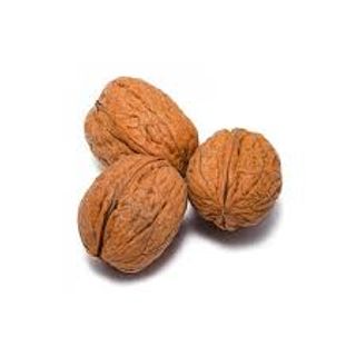 Noci