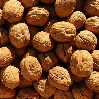 Noci - 100g