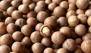Noci di macadamia- 100g