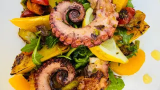 Octopus salad