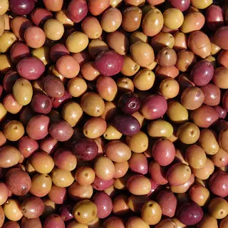 Olive baresane - 100g