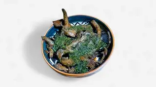 Oyster mushrooms