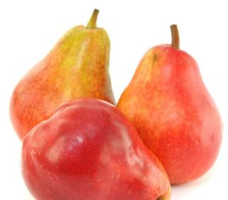 Pere William Bio 1 kg