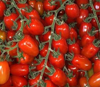 Pomodorini datterini 1 kg