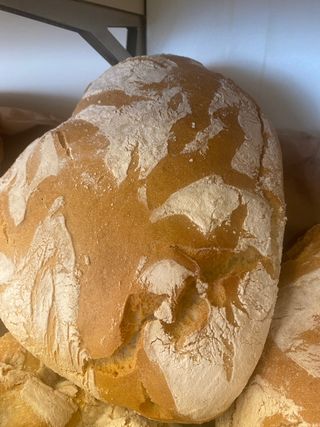 Pane sciocco intero 850g  