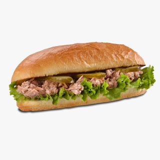 Tonno panino