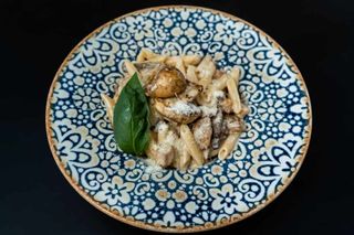 Pasta piletina i vrganj