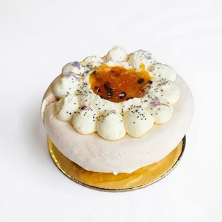 Pavlova Mangue Passion