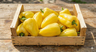 Peperoni gialli 1 kg