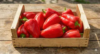 Peperoni 1 kg