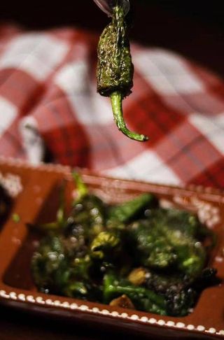 Pimentos Padrón