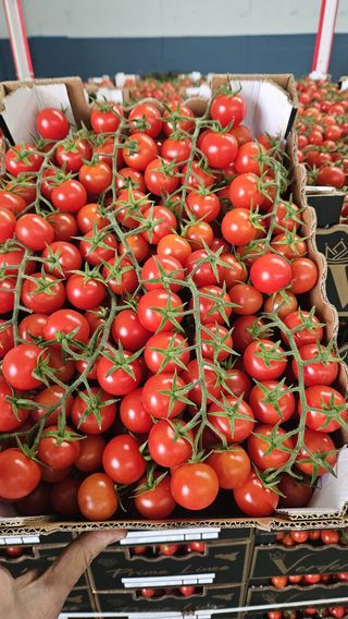 Pomodori ciliegino 500 g