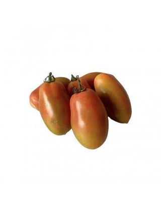 Pomodori per insalata