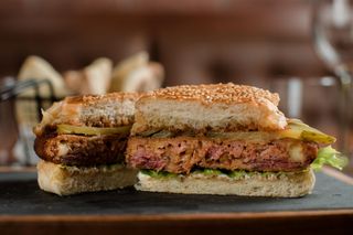 Pulled Pork burger