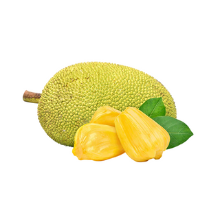 Jackfruit  1 pc