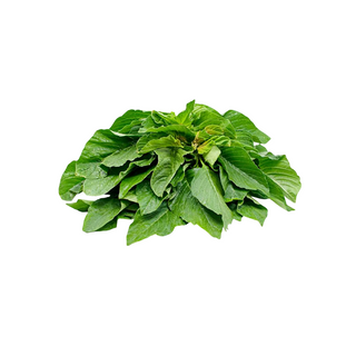 Dodo General Merchandise Item