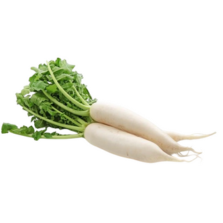 White Radishes, Loose