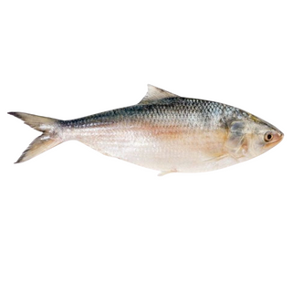 Fish Combo, Single Pack