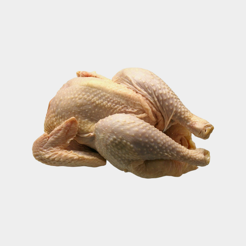Fresh Chicken