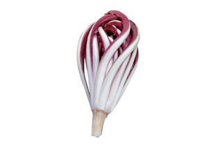 Radicchio trevigiano - 500grOrigine: Italia, approssimativamente 2 radicchi