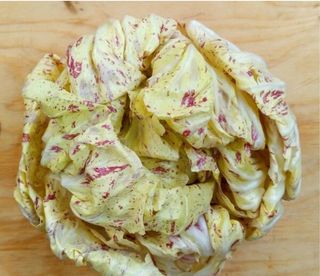 Radicchio variegato 1 kg
