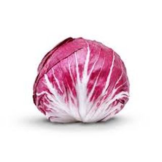 Radicchio tondo