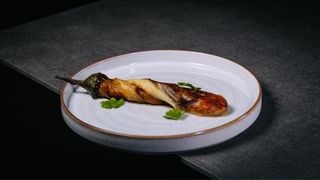 Ražnjić povrće plavi patlidžan ceo