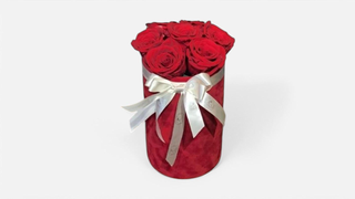 Red Rose Elegance Box