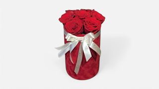 Red Rose Elegance Box
