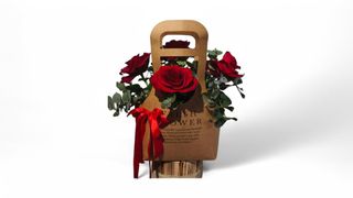 Red Rose Medley