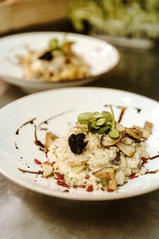 Rižoto sa vrganjima