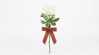 Rosa bianca