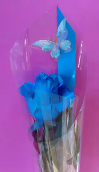 Rosa blu