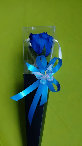 Rosa stabilizzata blu