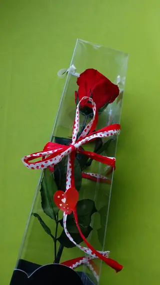 Rosa eterna rossa