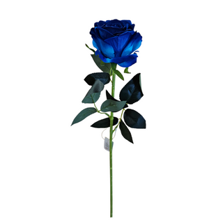 Rosa blu singola