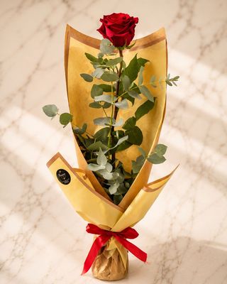 Rosa rossa confezionata