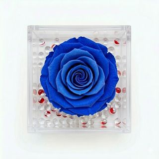 Rosa stabilizzata blu